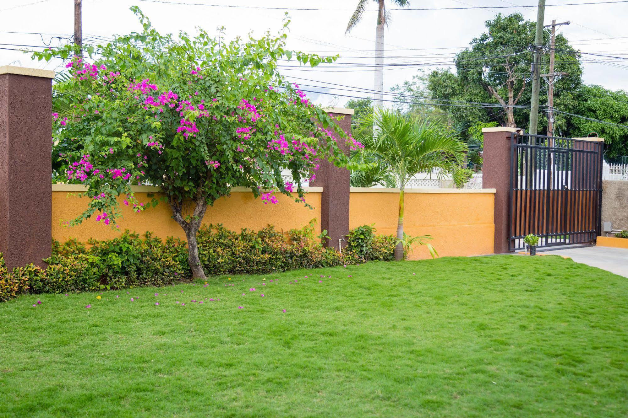 Centrally Located Guest Apartments Kingston Esterno foto