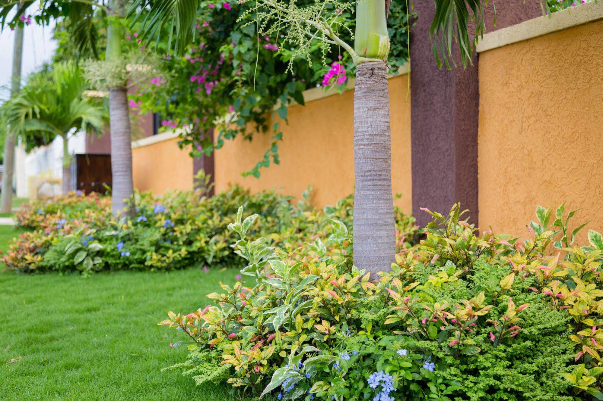 Centrally Located Guest Apartments Kingston Esterno foto