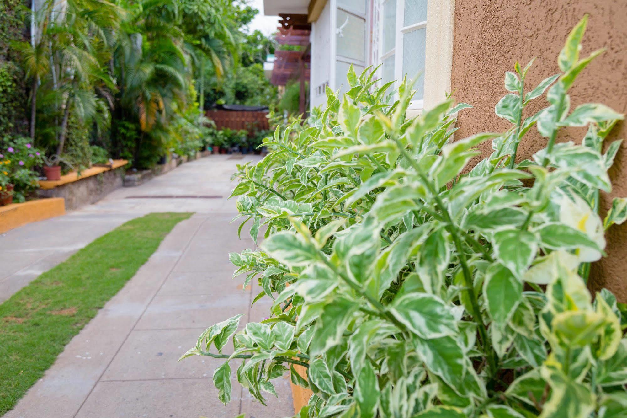 Centrally Located Guest Apartments Kingston Esterno foto