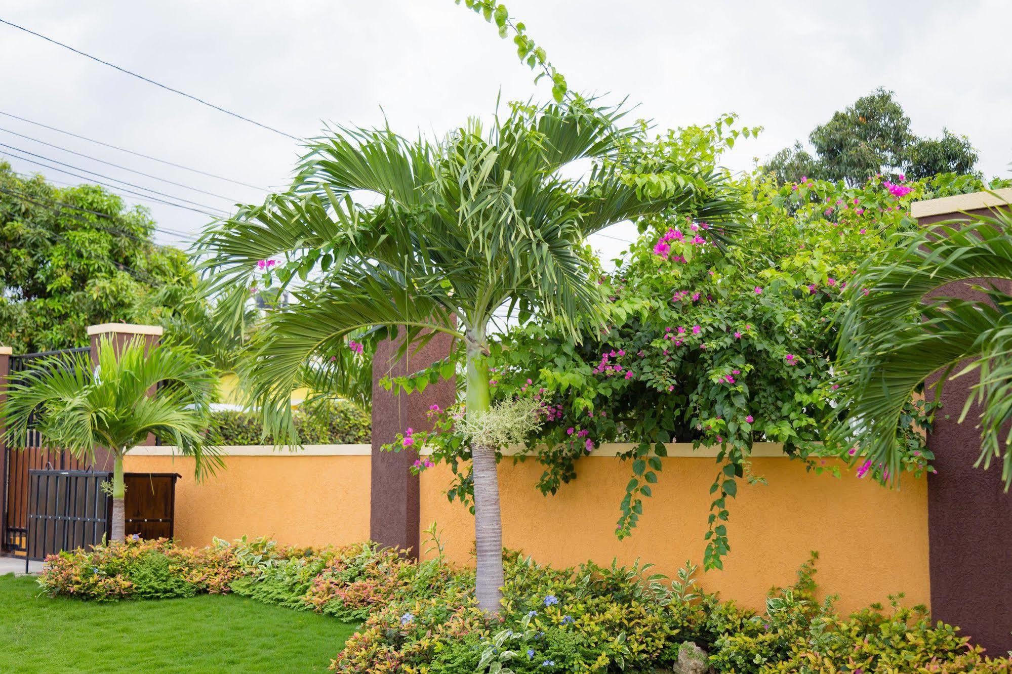 Centrally Located Guest Apartments Kingston Esterno foto